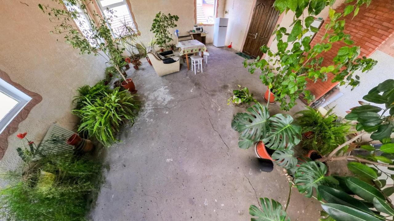 צ'יסינאו La Vitalie Guest House מראה חיצוני תמונה